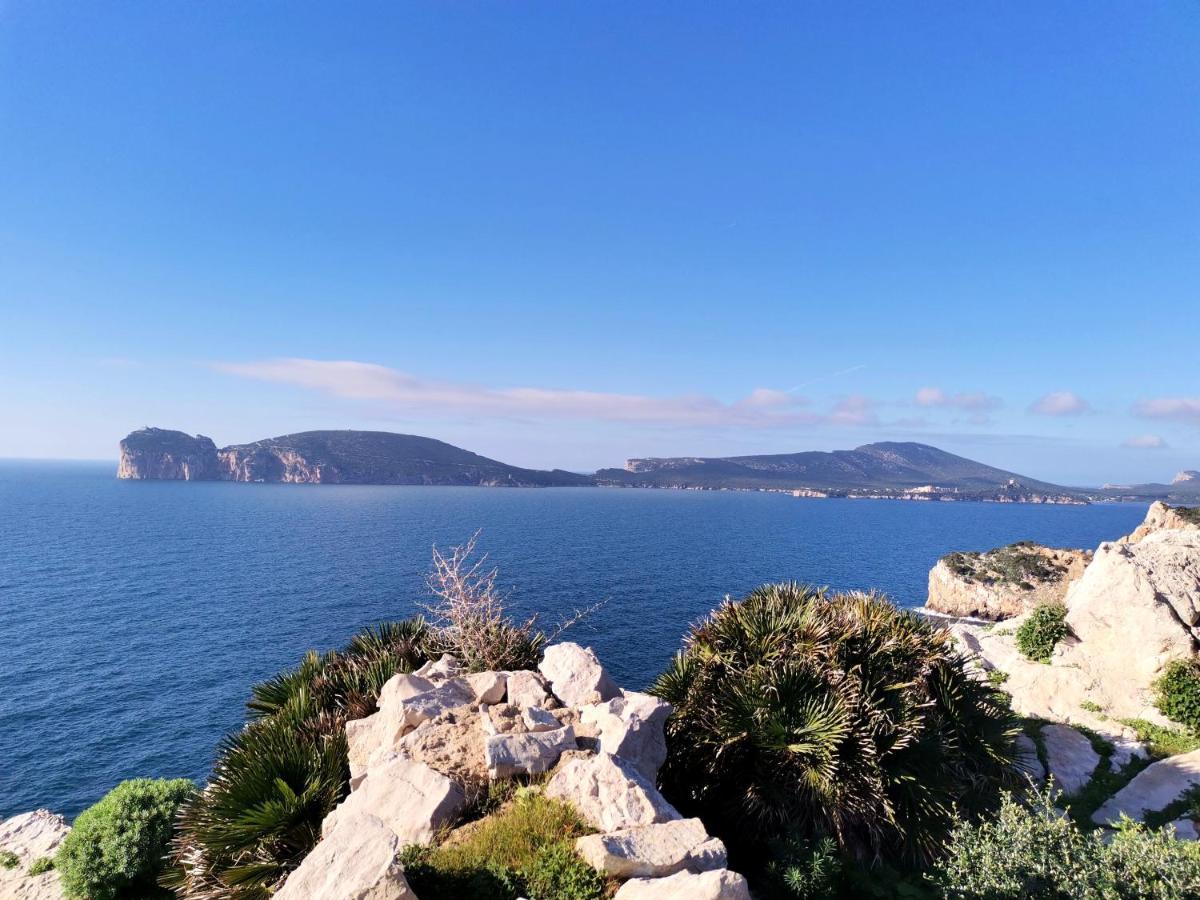 Miradas Αλγκέρο Εξωτερικό φωτογραφία